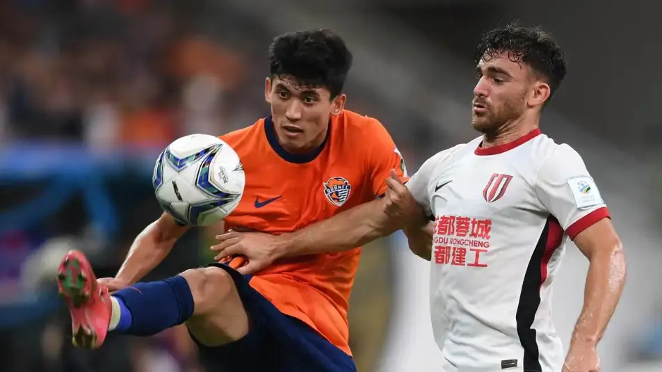 也将受影响 也将受影响