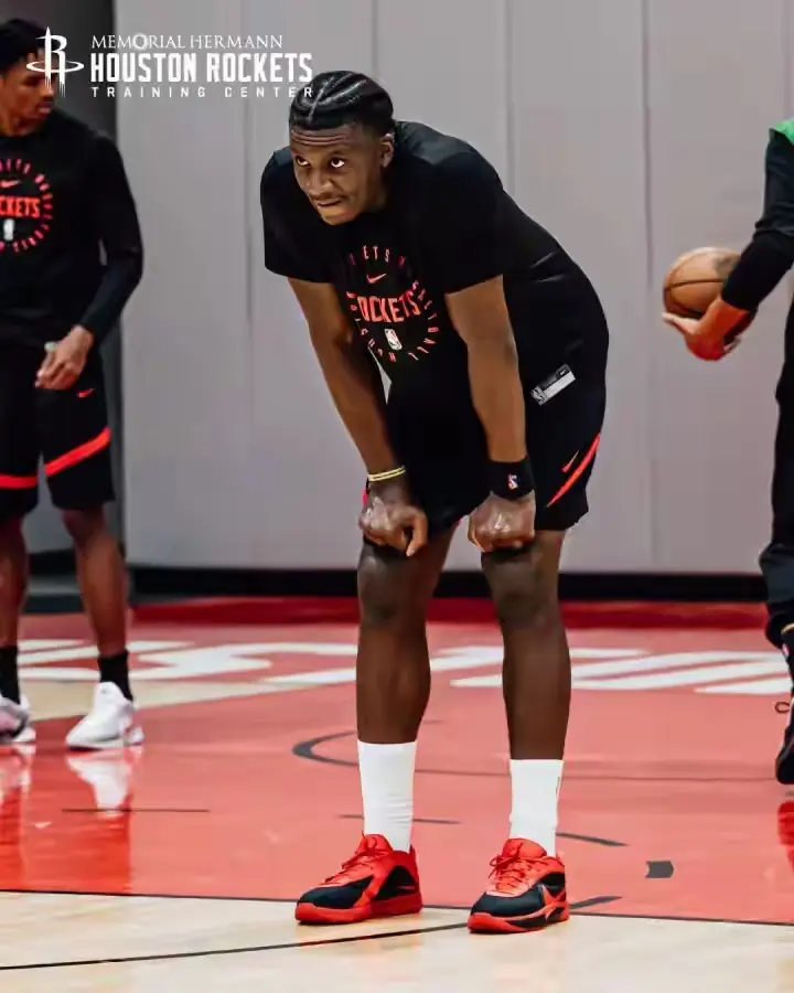 分析指出 分析指出