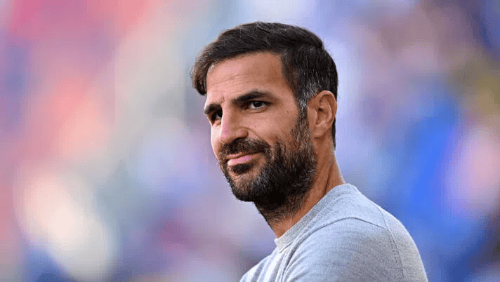 img, 媒体的采访 img, 媒体的采访