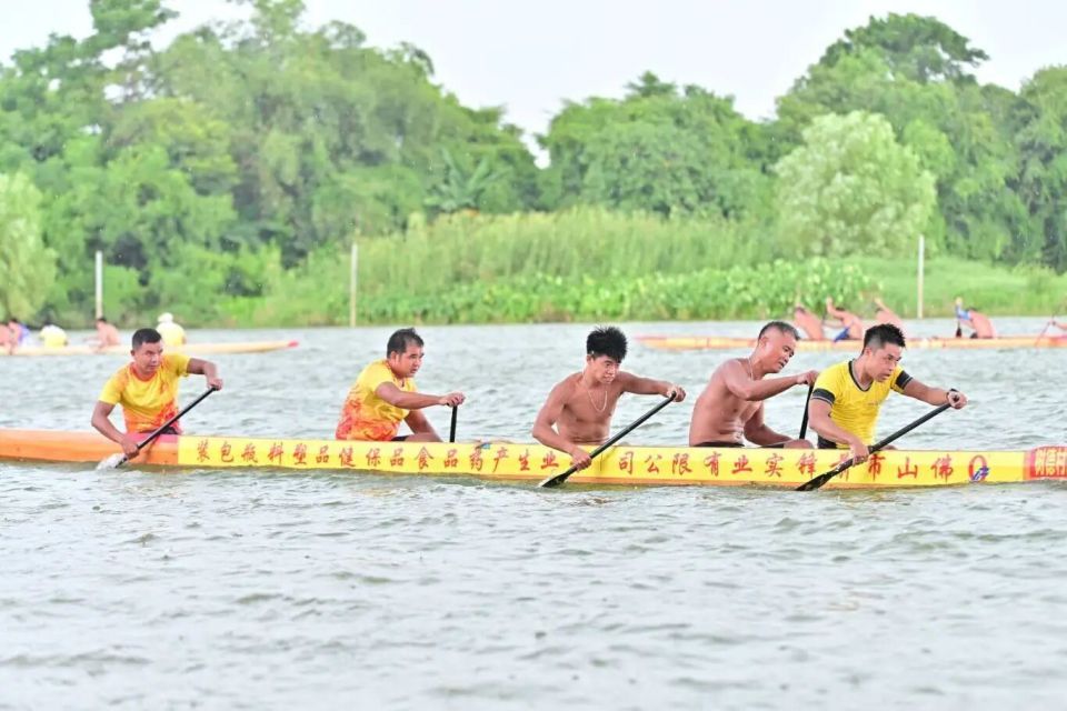 辑部审校 辑部审校